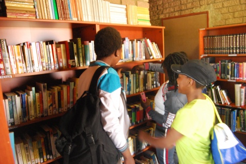 Ebony Park Branch launches their own library